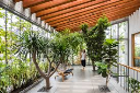 Biophilic Design 