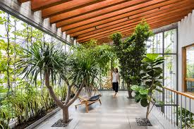 Biophilic Design 